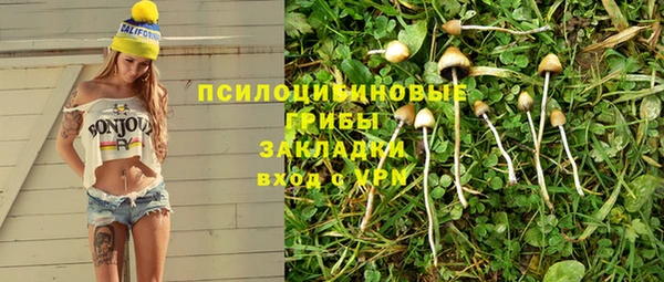 PSILOCYBIN Беслан