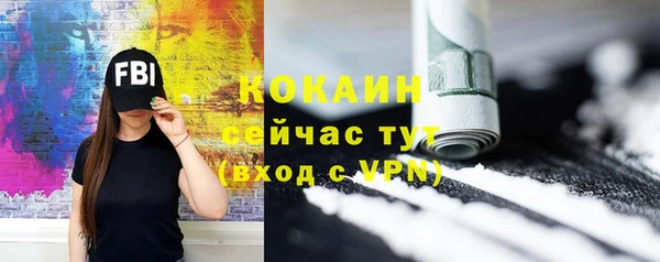 PSILOCYBIN Бикин