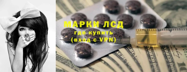 ПСИЛОЦИБИНОВЫЕ ГРИБЫ Осинники