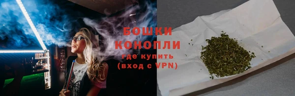 ALPHA PVP Остров