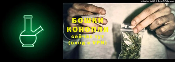 ПСИЛОЦИБИНОВЫЕ ГРИБЫ Осинники