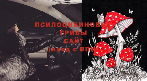 ПСИЛОЦИБИНОВЫЕ ГРИБЫ Осинники