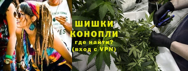 ПСИЛОЦИБИНОВЫЕ ГРИБЫ Осинники
