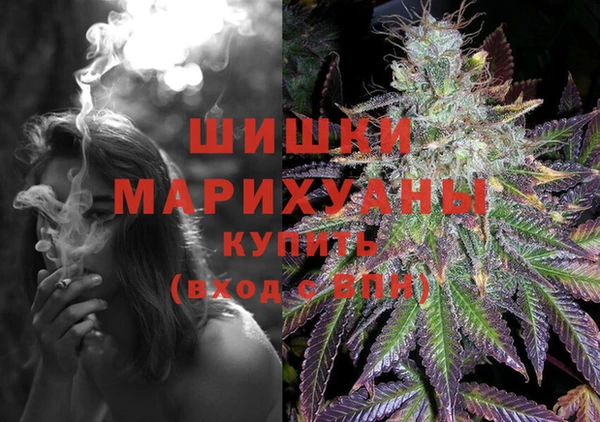 ПСИЛОЦИБИНОВЫЕ ГРИБЫ Осинники