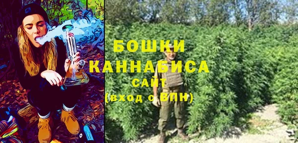 PSILOCYBIN Бикин