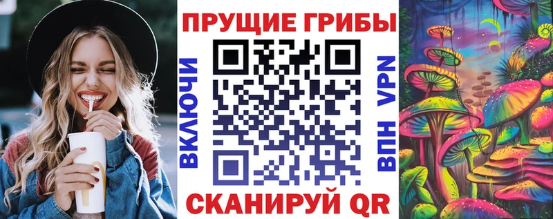 Псилоцибиновые грибы GOLDEN TEACHER  Аша 
