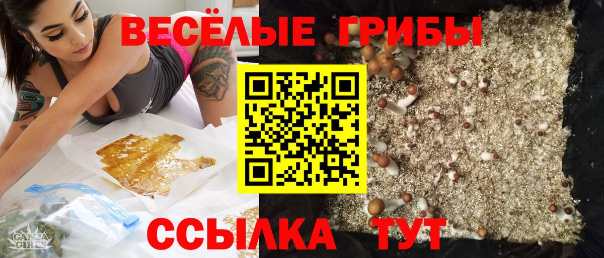 Псилоцибиновые грибы Psilocybine cubensis Аша