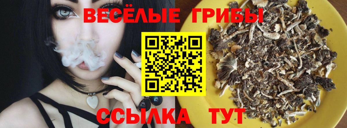Галлюциногенные грибы Magic Shrooms Аша