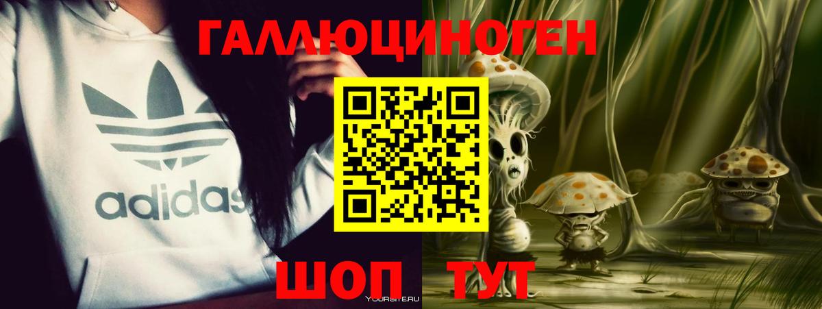 Галлюциногенные грибы Psilocybe  Вход с VPN  Аша 