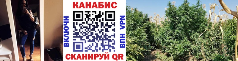 купить наркоту Аша Шишки марихуана планчик